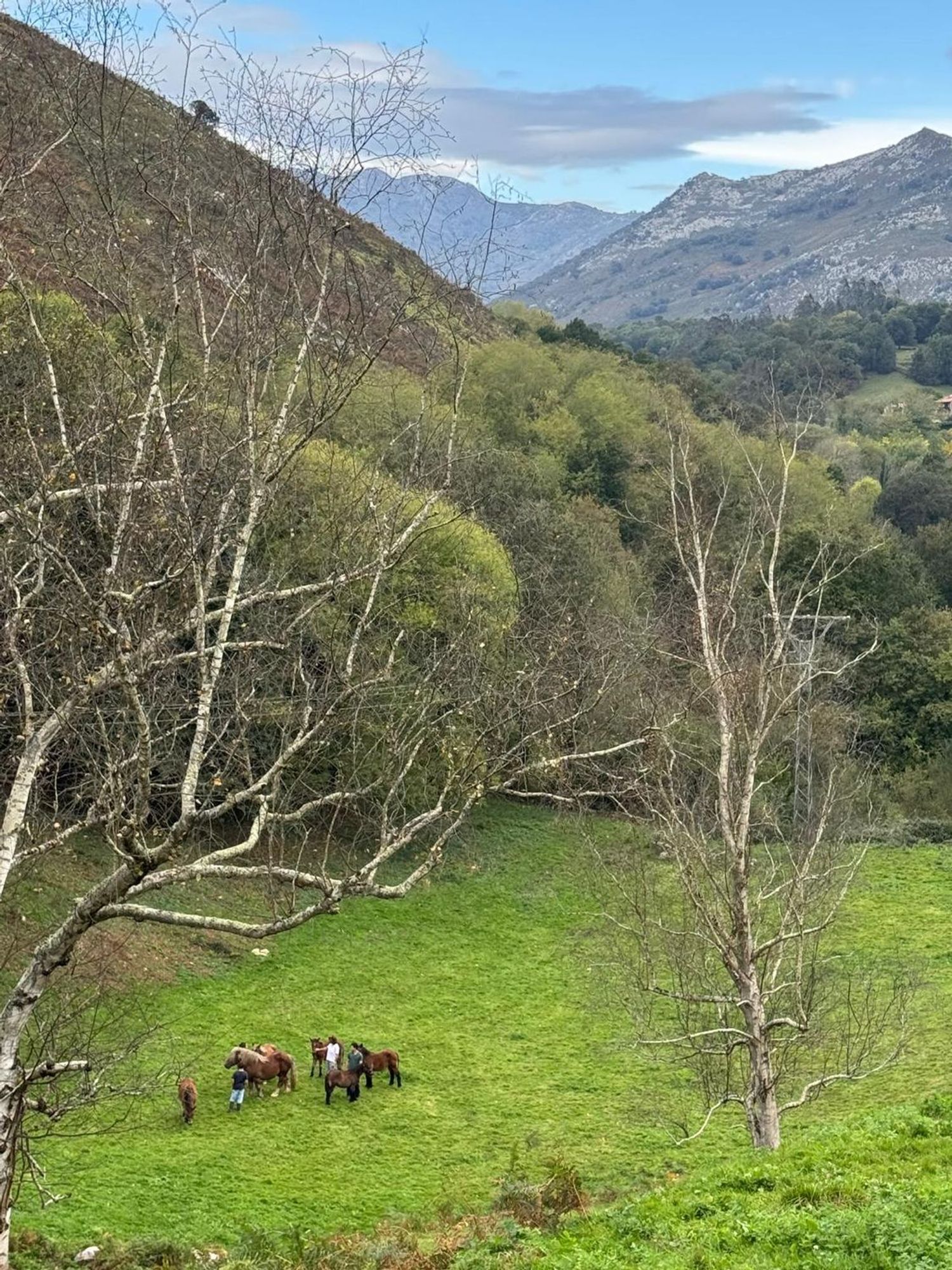 Casa rural en Pista de Riclones s/n - Foto 10