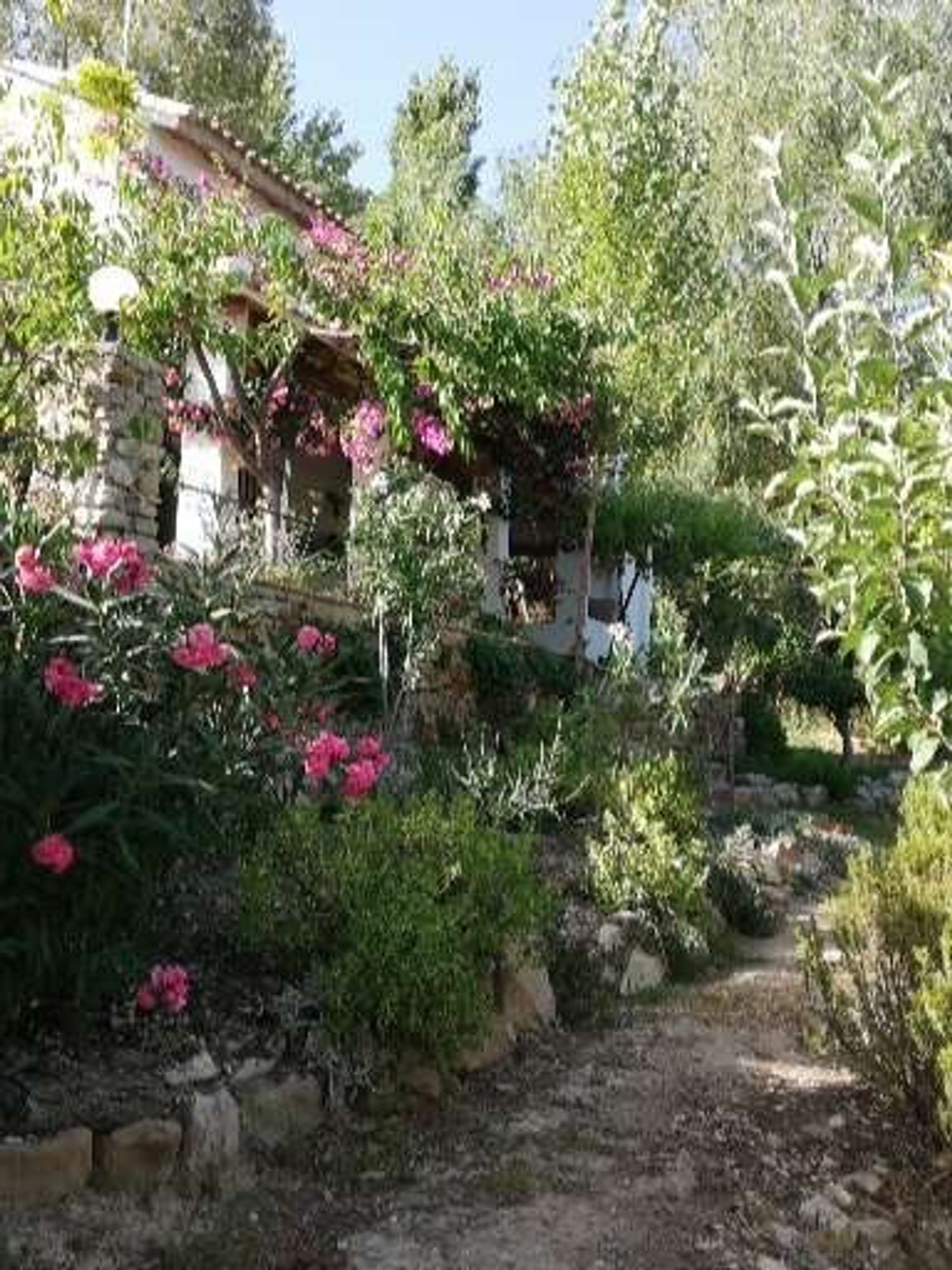 Casa o chalet independiente en Camino Fontana, 1 - Foto 28