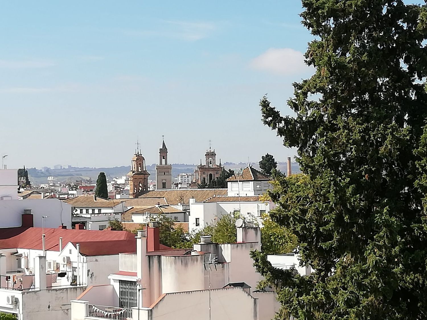 Piso en Barrio Puerta Carmona-Puerta Osario-Amador de los Ríos - Foto 7