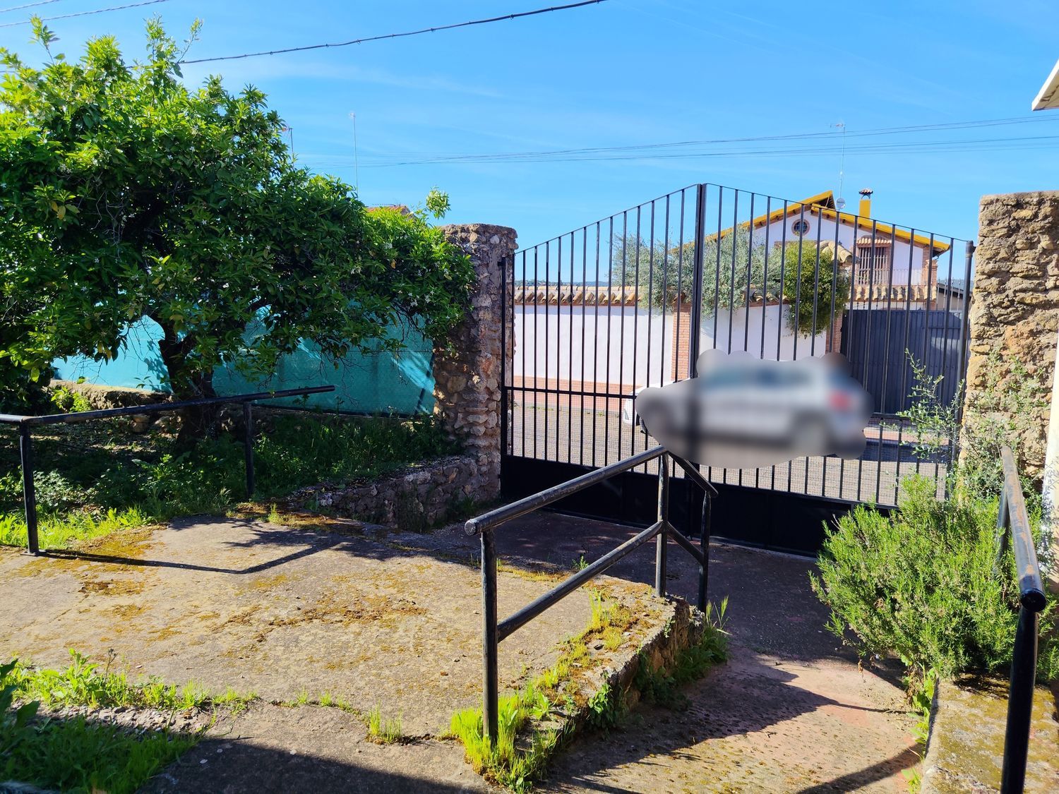 Finca rústica en Calle lentisco (Urbanización acebuchal), 2 - Foto 35