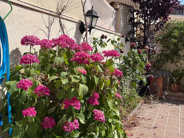 Chalet adosado en Llagostera - Foto 4