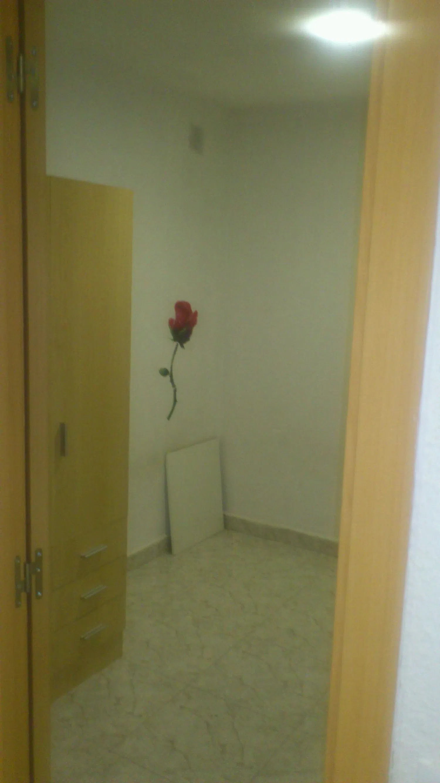 Piso en avenida de la Albufera, 46 - Foto 3