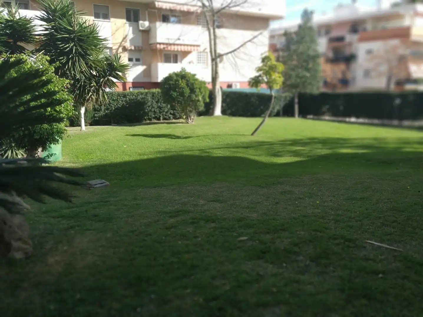 Piso en  Calle Huerta Nueva 26 - Foto 3