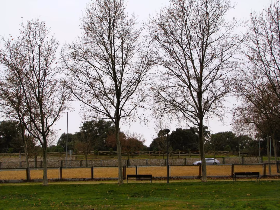 Piso en  Avenida Infante Don Luis 18 - Foto 21