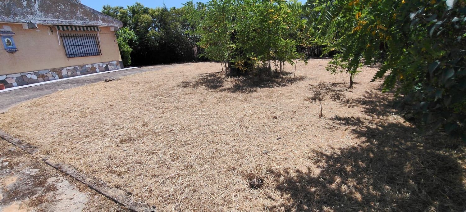 Finca rústica en Badajoz, 1, Dehesilla de Calamón - Campomanes, Dehesilla de Calamón - Campomanes - Foto 4