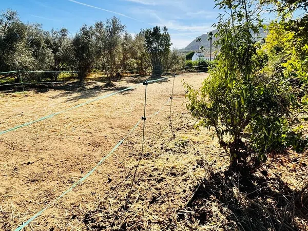 Finca rústica en Diseminado Poligono, 38 - Foto 4