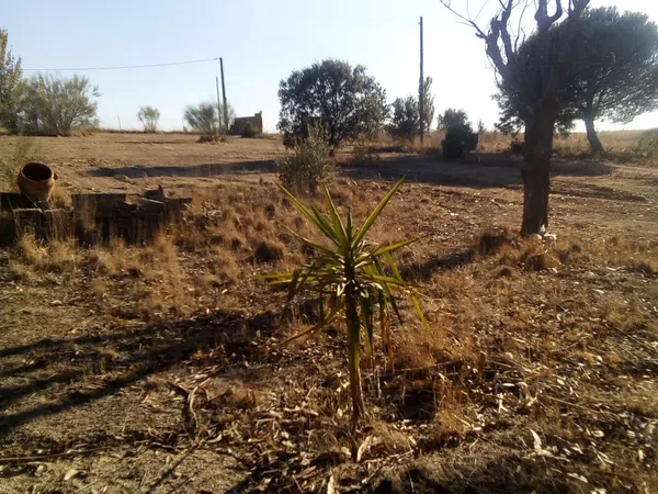 Finca rústica en camino de las laderas, 45 - Foto 18