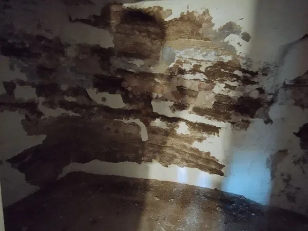 Casa de pueblo en Cuesta Mollo, 3, Puerta Soria - Foto 12