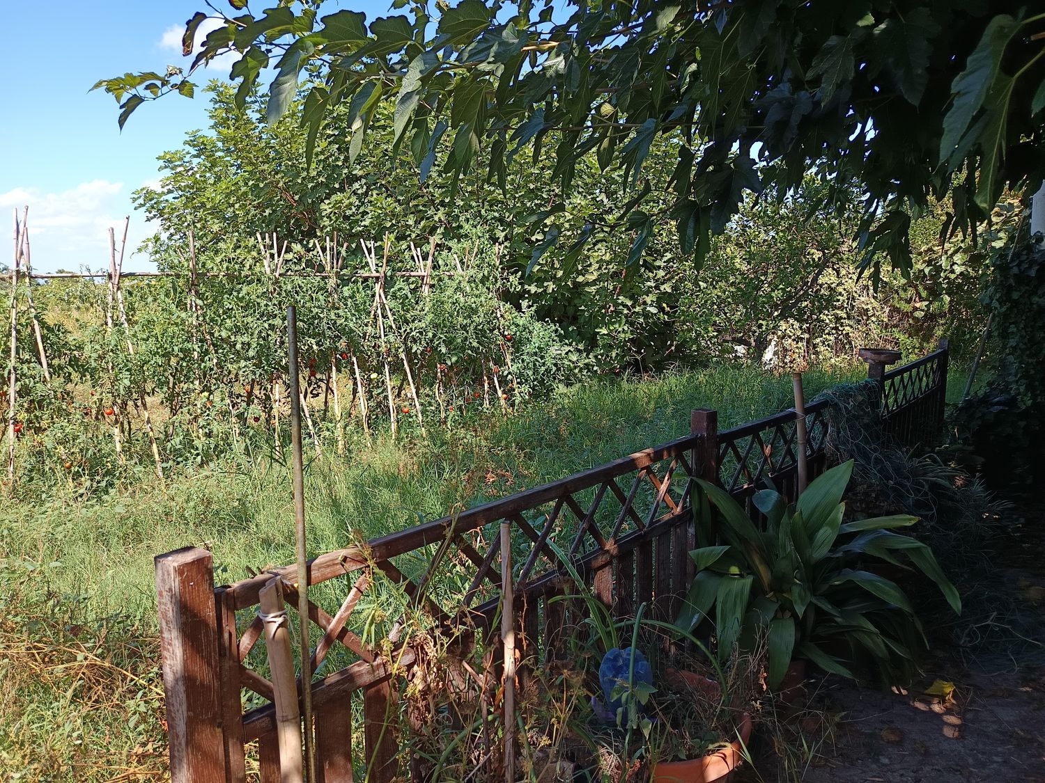 Cortijo en Cortijo en Partida Poligono 22, 220, Zona Llombai, Zona Llombai - Foto 21