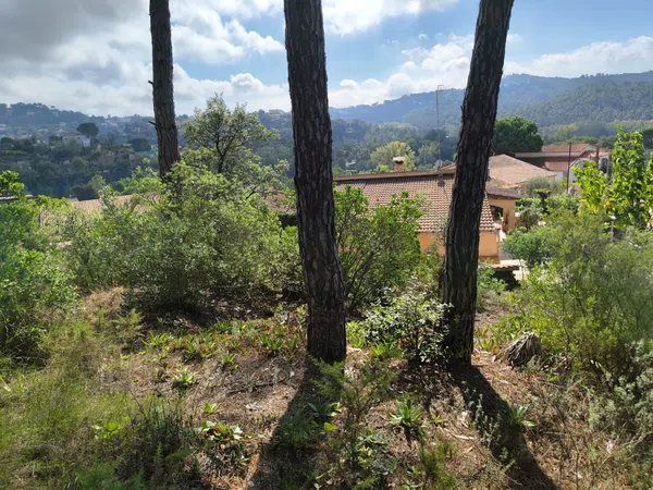 Finca rústica en Calle Avet, 2 n, Aiguaviva Parc, Aiguaviva Parc - Foto 5