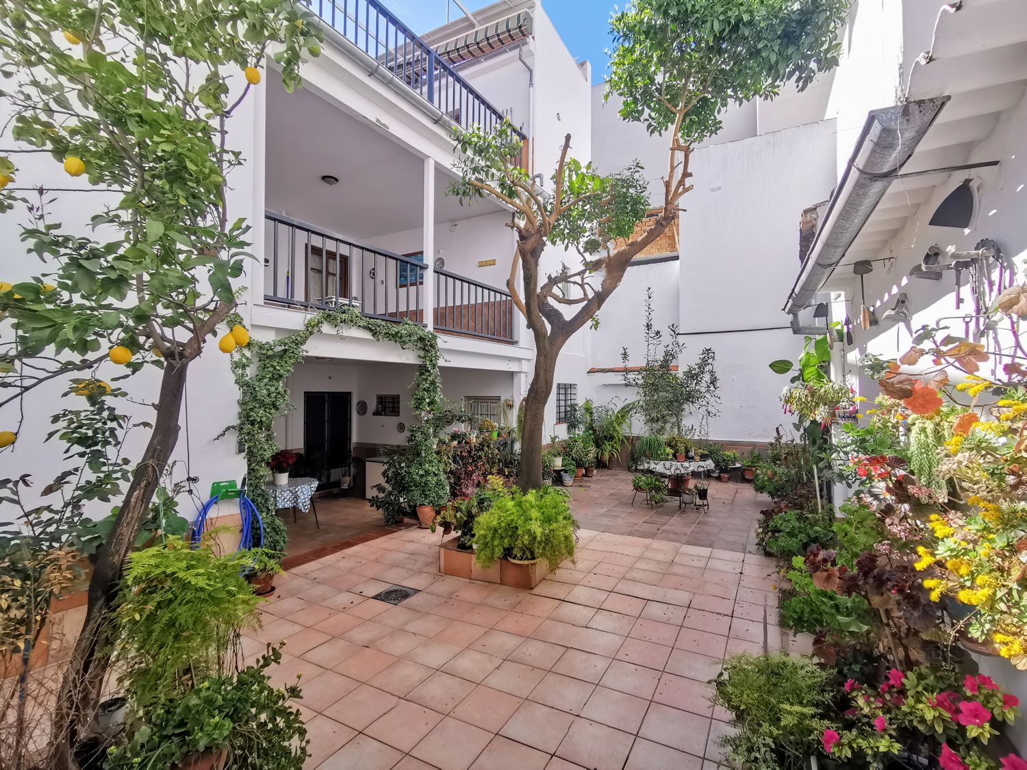 Casa o chalet independiente en Carrera de Madre Carmen, 37 - Foto 16