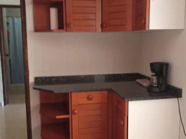 Piso en Calle Bono Guarner, 21, Santo Domingo - Foto 14