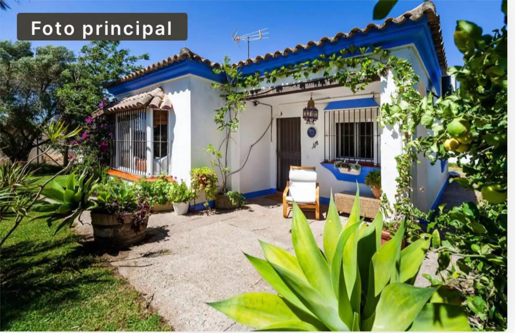 Piso en  Camino del Olmo 14 - Foto 1