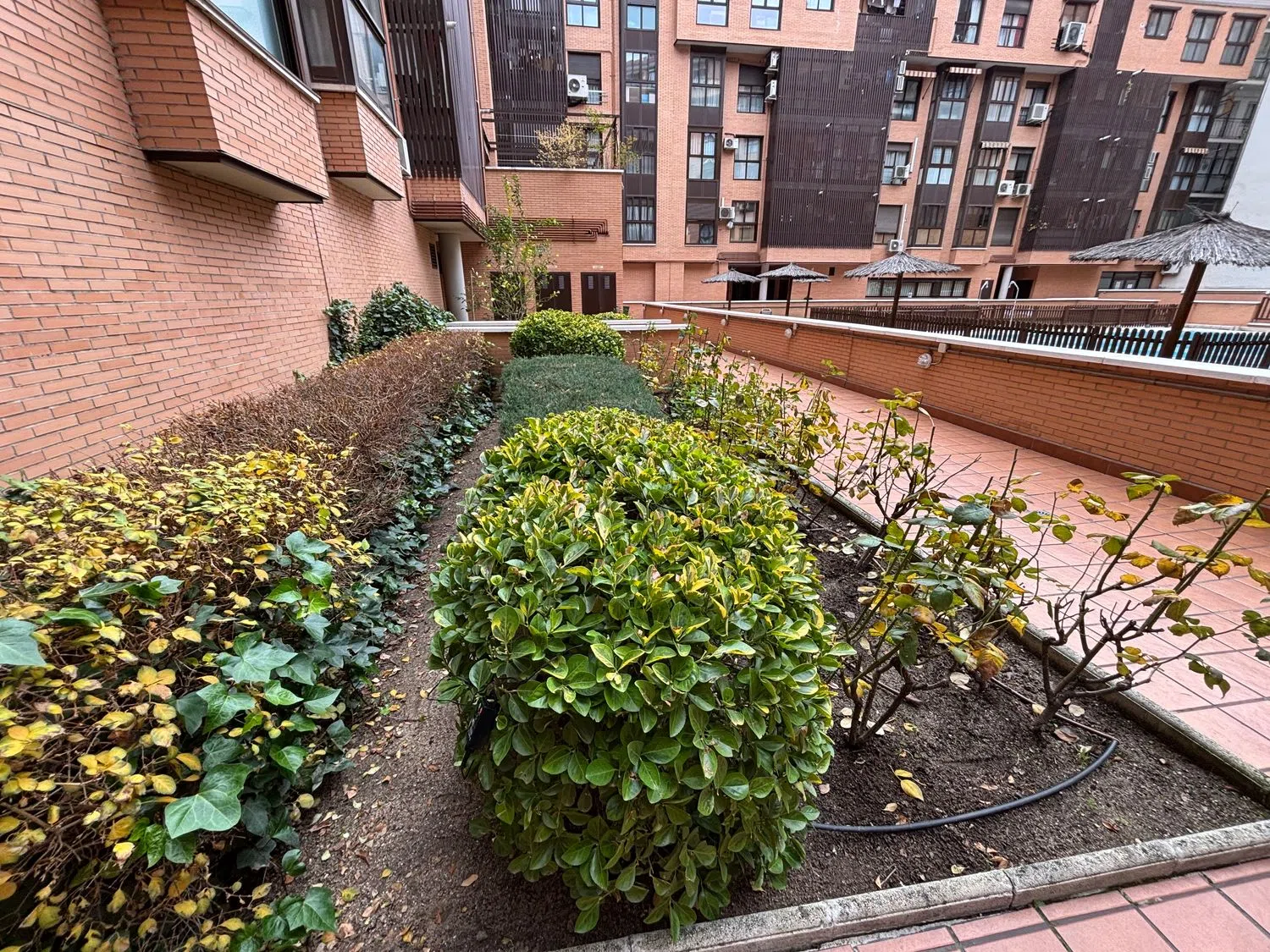 Piso en calle de Santa Saturnina, 7 - Foto 27