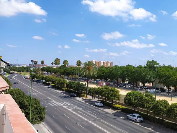 Piso en Calle Clemente Hidalgo, 48, Gran Plaza - Marqués de Pickman - Ciudad Jardín - Foto 31
