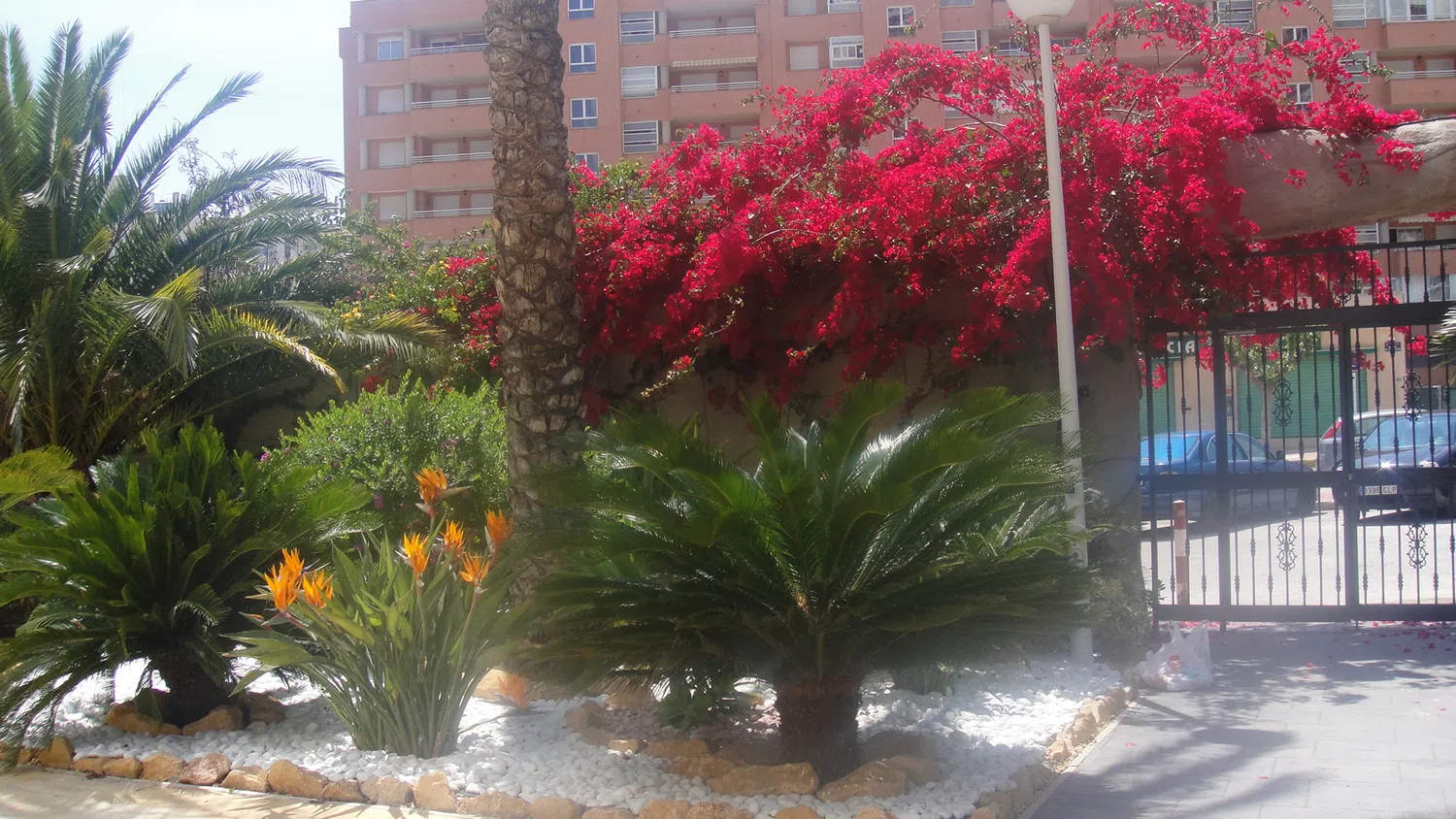 Piso en avenida Marineros de Villajoyosa, 19 - Foto 1