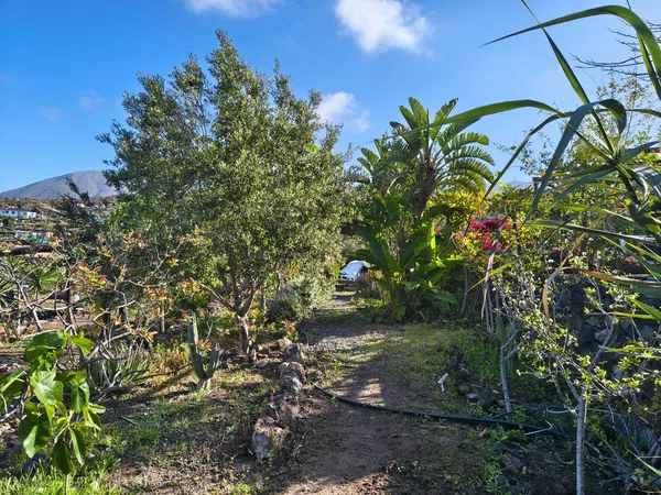 Estudio en Tf-82, 10 - Foto 9