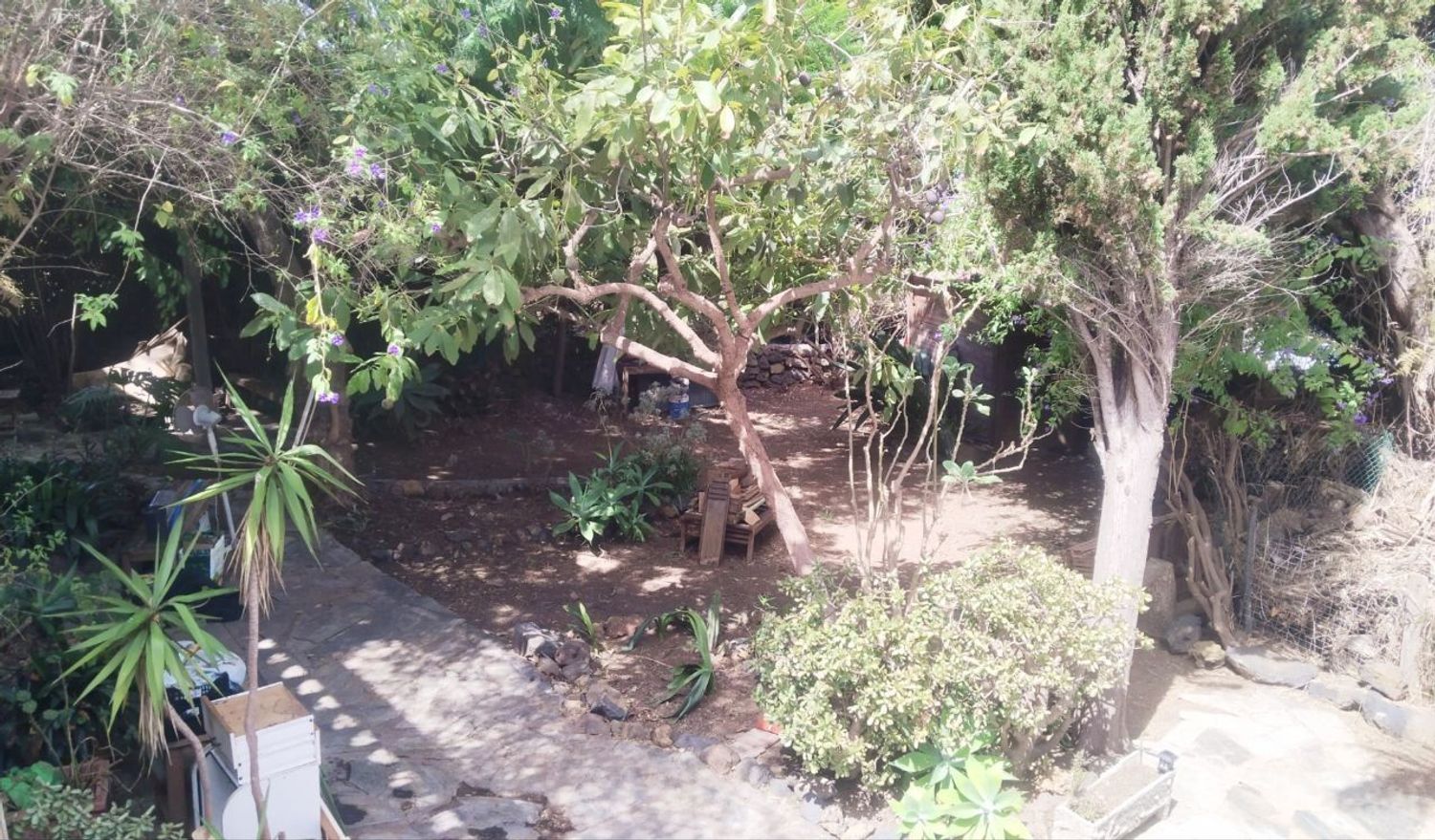 Finca rústica en Carretera Enlace el Ramal, 18 L, Centro, Centro - Foto 10