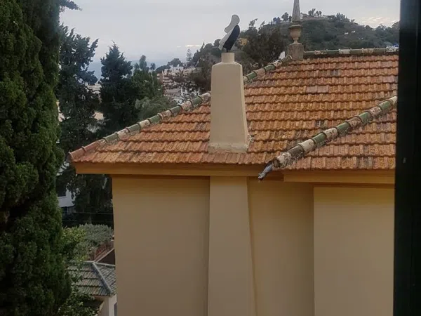 Piso en C/damasco, 3, Limonar - Foto 6
