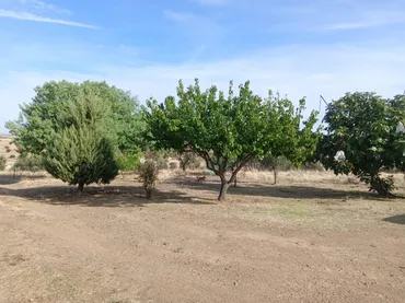 Finca rústica en  Avenida de Extremadura 11 - Foto 11