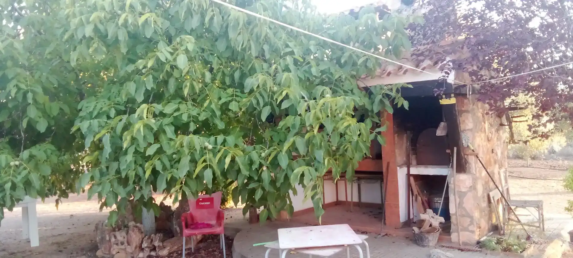 Finca rústica en  Calle Diseminados 1586 - Foto 17