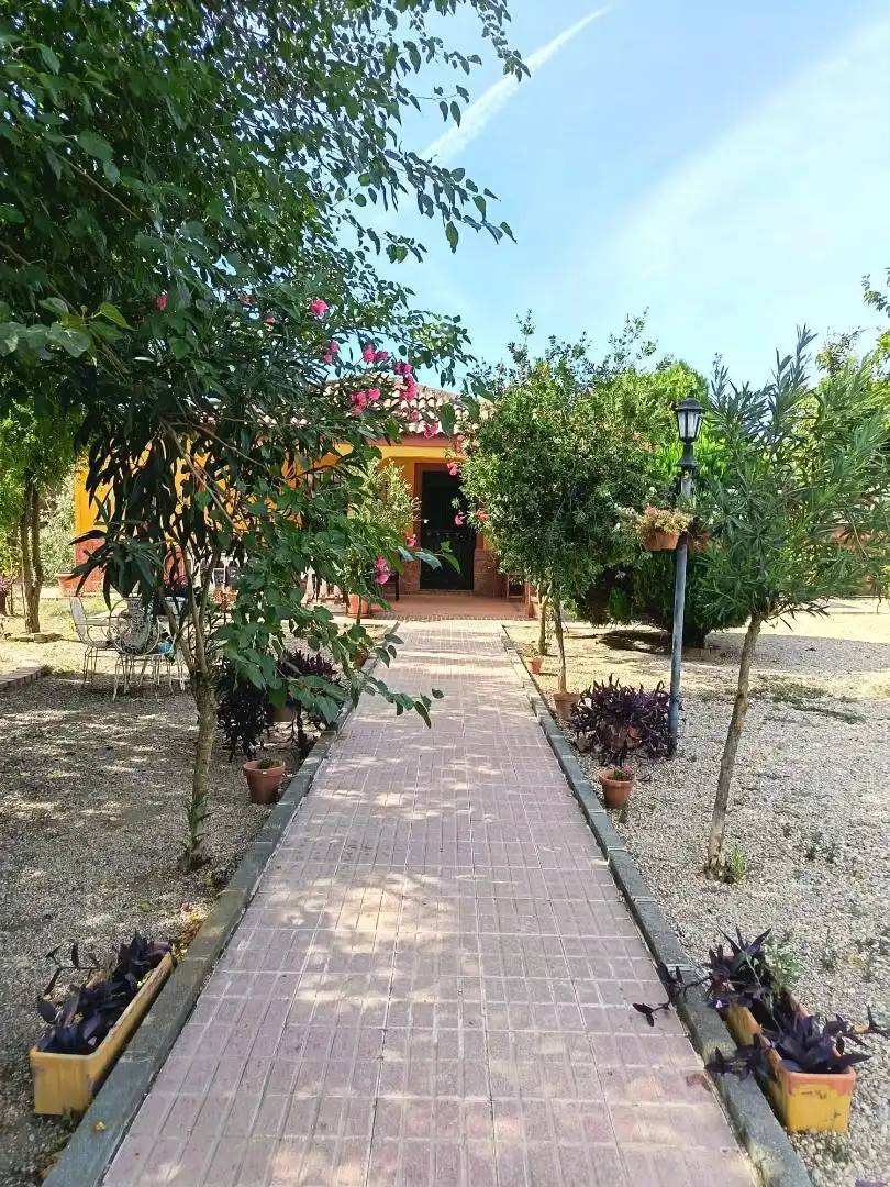 Finca rústica en  Urbanización las Encinas 2 - Foto 2
