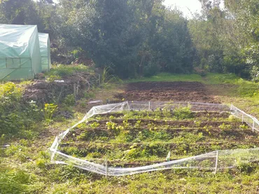 Finca rústica en  Pista La Cancela 97 - Foto 3