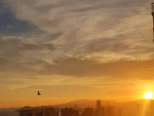 Piso en avenida de Montecarlo, 8 - Foto 23