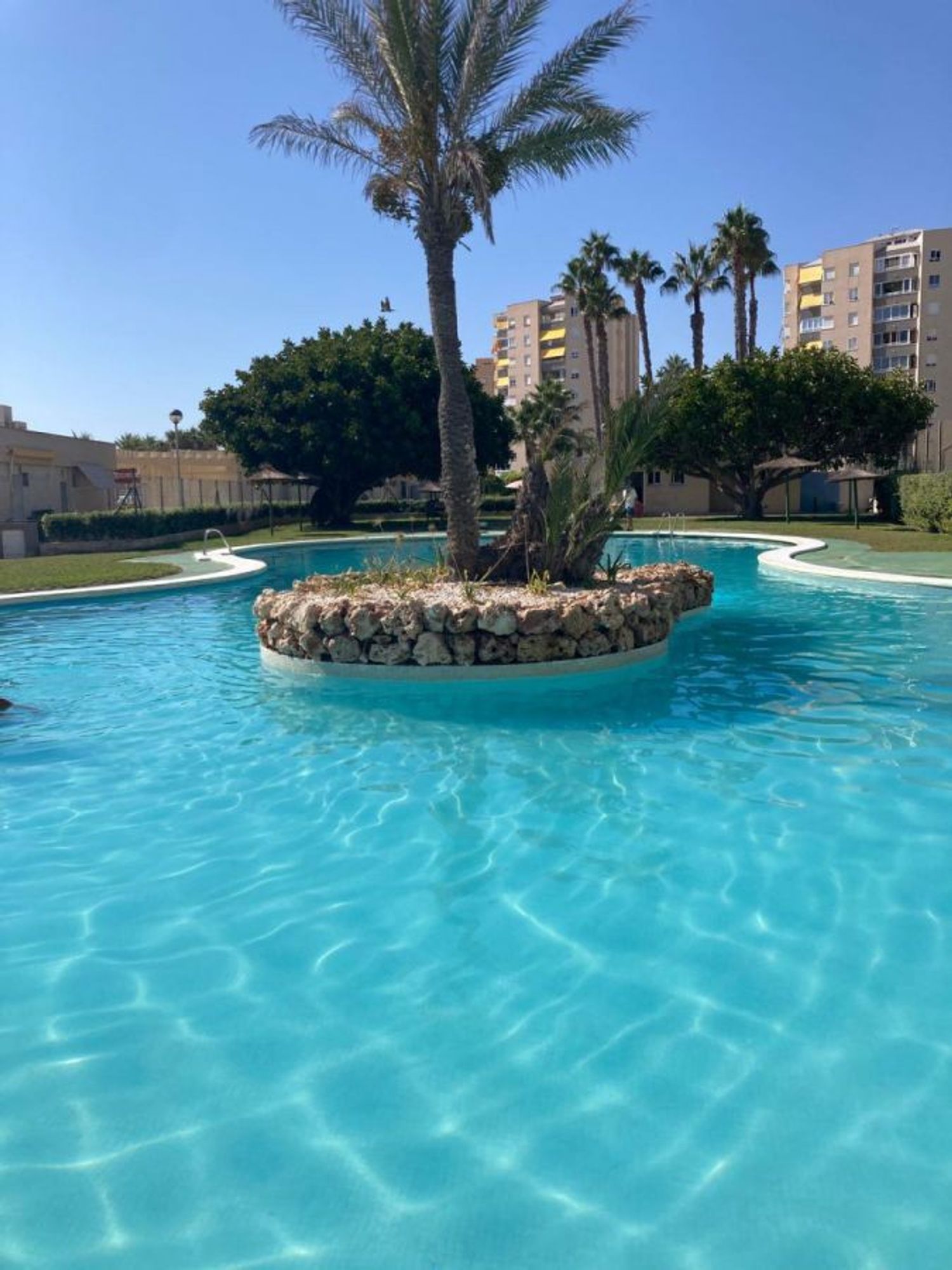 Piso en Calle Músico Antón Roch, El Palmeral-Urbanova-Tabarca - Foto 8