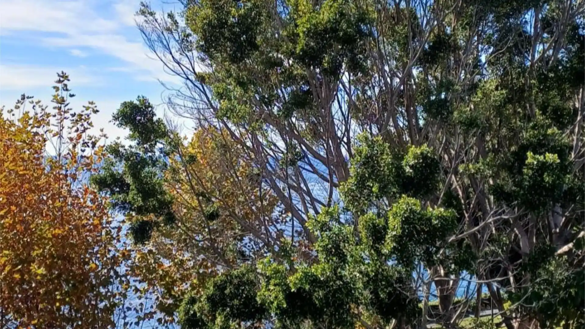 Piso en  Avenida del Pirata 2 - Foto 12