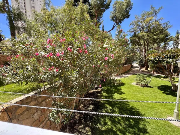 Piso en Avenida de Montecarlo, 14, Zona Sierra Helada - Foto 28