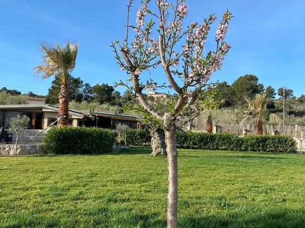 Palacio en Palacio en poligono 3, 389, Marratxinet, Marratxinet - Foto 19