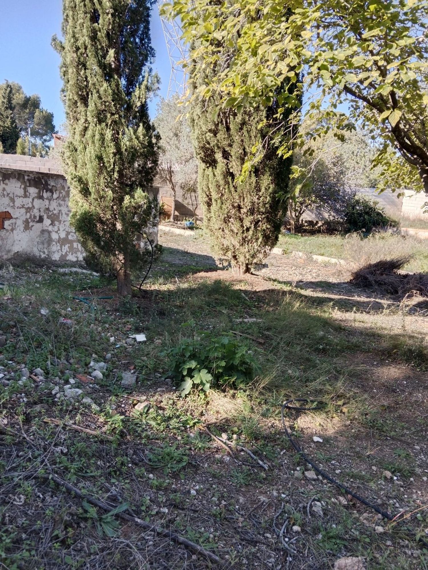 Finca rústica en camino de Bayarri, 92 PoligonoR - Foto 18