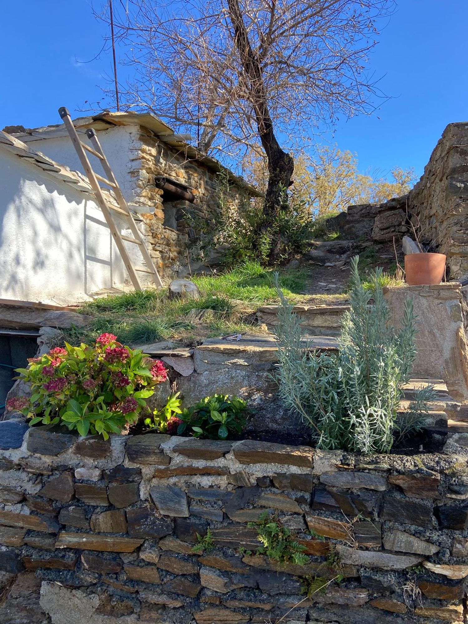 Cortijo en Cerro man, 23 - Foto 5