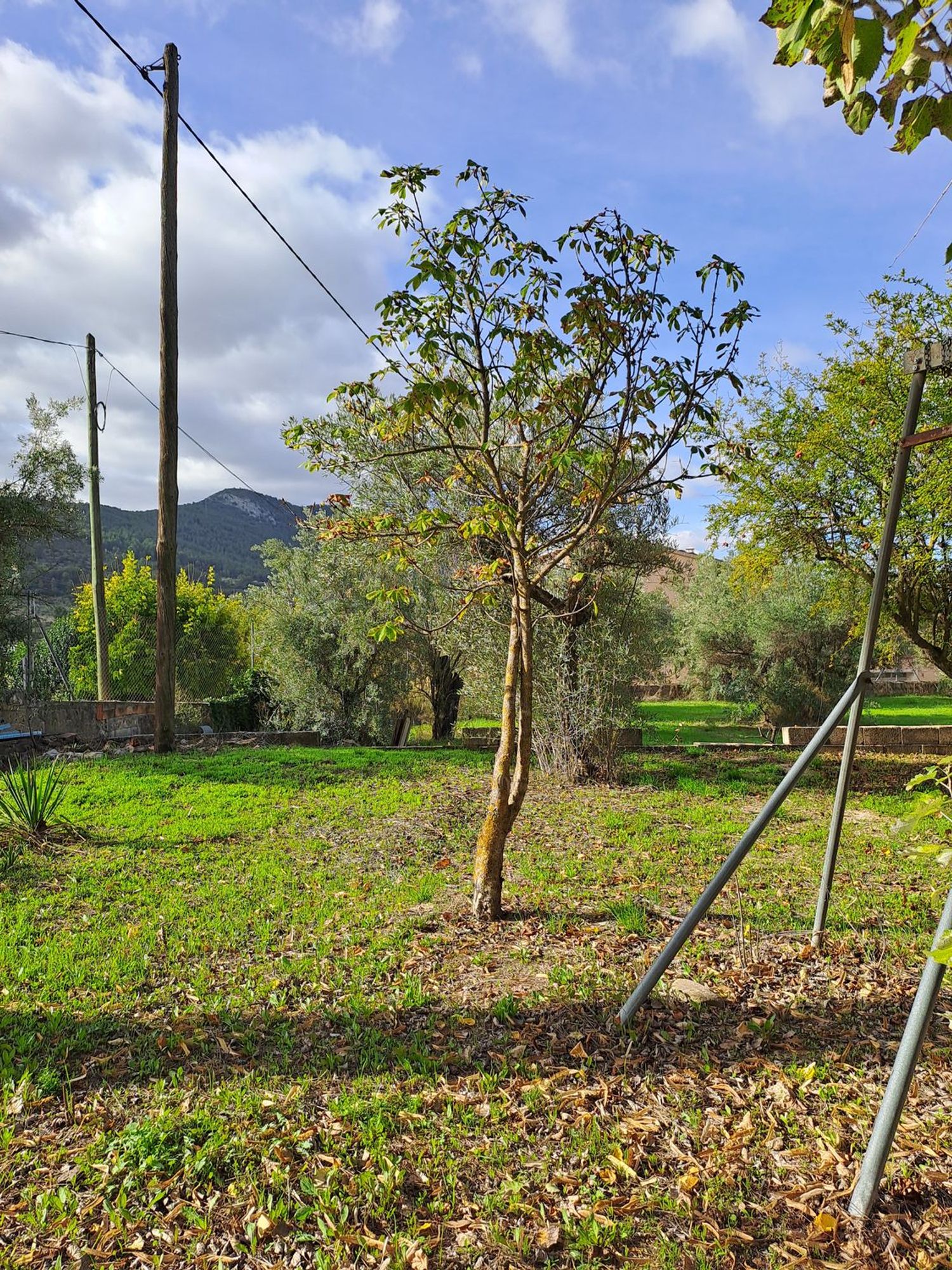 Casa de pueblo en Banyeres de Mariola - Foto 15