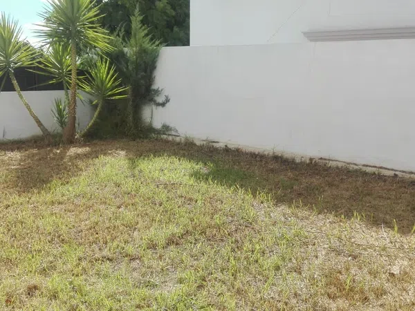 Casa independiente en avenida Reina de los Ángeles, 52 - Foto 3