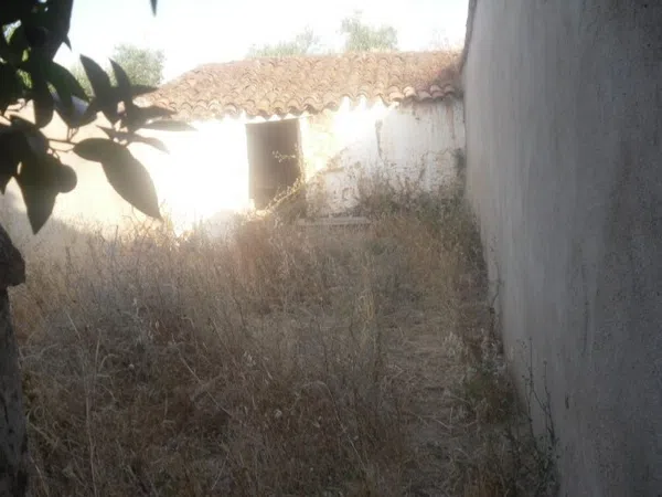Chalet adosado en Calle Viriato, 36 - Foto 4