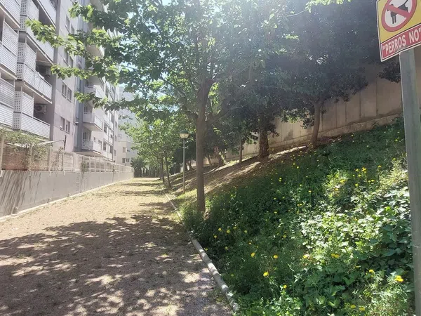 Piso en Sotolivar - Mas del Rosari, Sotolivar - Mas del Rosari - Foto 33