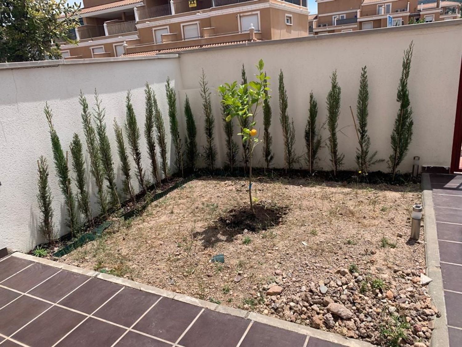 Chalet adosado en calle Boja Blanca, 5