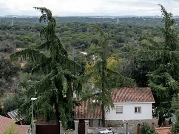 Casa independiente en calle de la Sirena, 36 - Foto 14