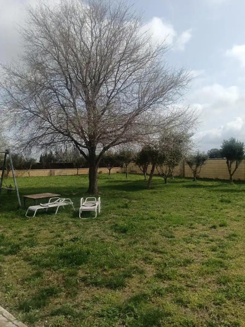 Finca rústica en  Camino Alcornocal 361 - Foto 20
