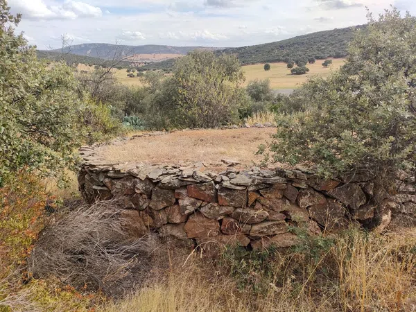 Cortijo en Camino de la Carretera de Almuradiel s/n - Foto 17