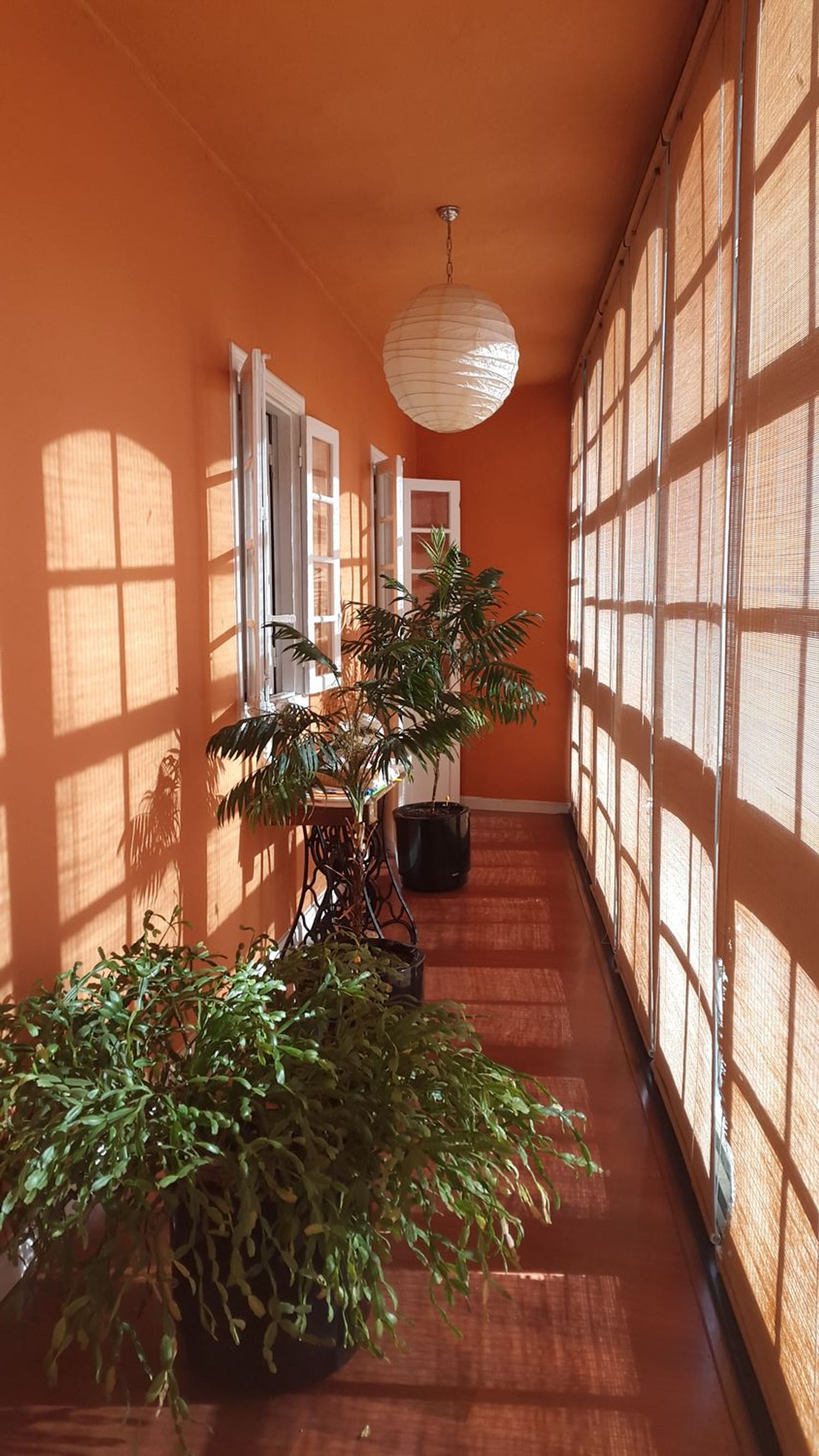 Casa o chalet independiente en Calle Rosalía de Castro, 6 - Foto 4
