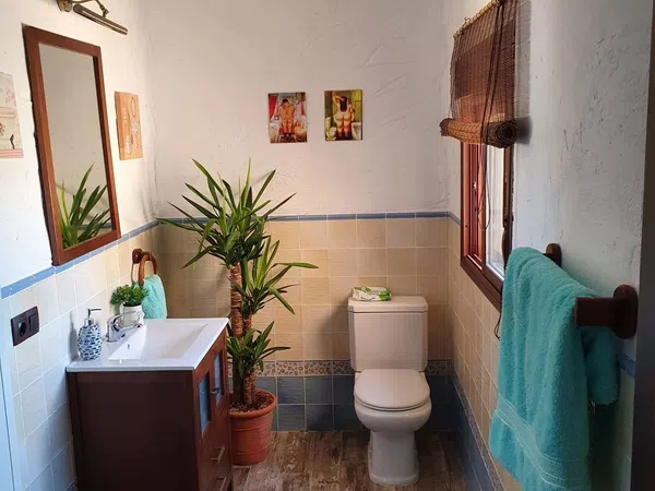 Casa o chalet independiente en Calle Naranjas y Limones, 55, Alcolea - Foto 15