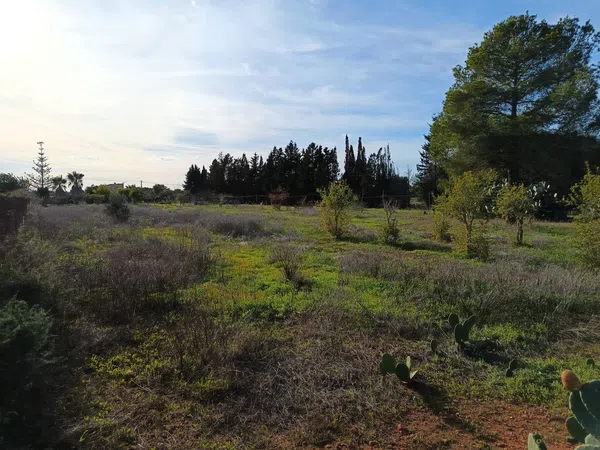 Finca rústica en camino Vell de Cala Pi, 1 - Foto 3