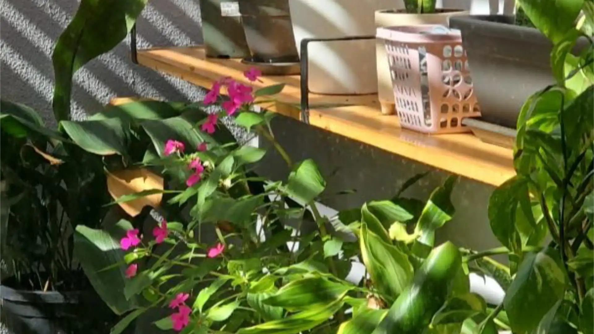 Casa adosada en  Calle Francisco de La Torre 31 - Foto 51