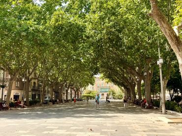 Piso en  Plaça de la Palmera 3 - Foto 20