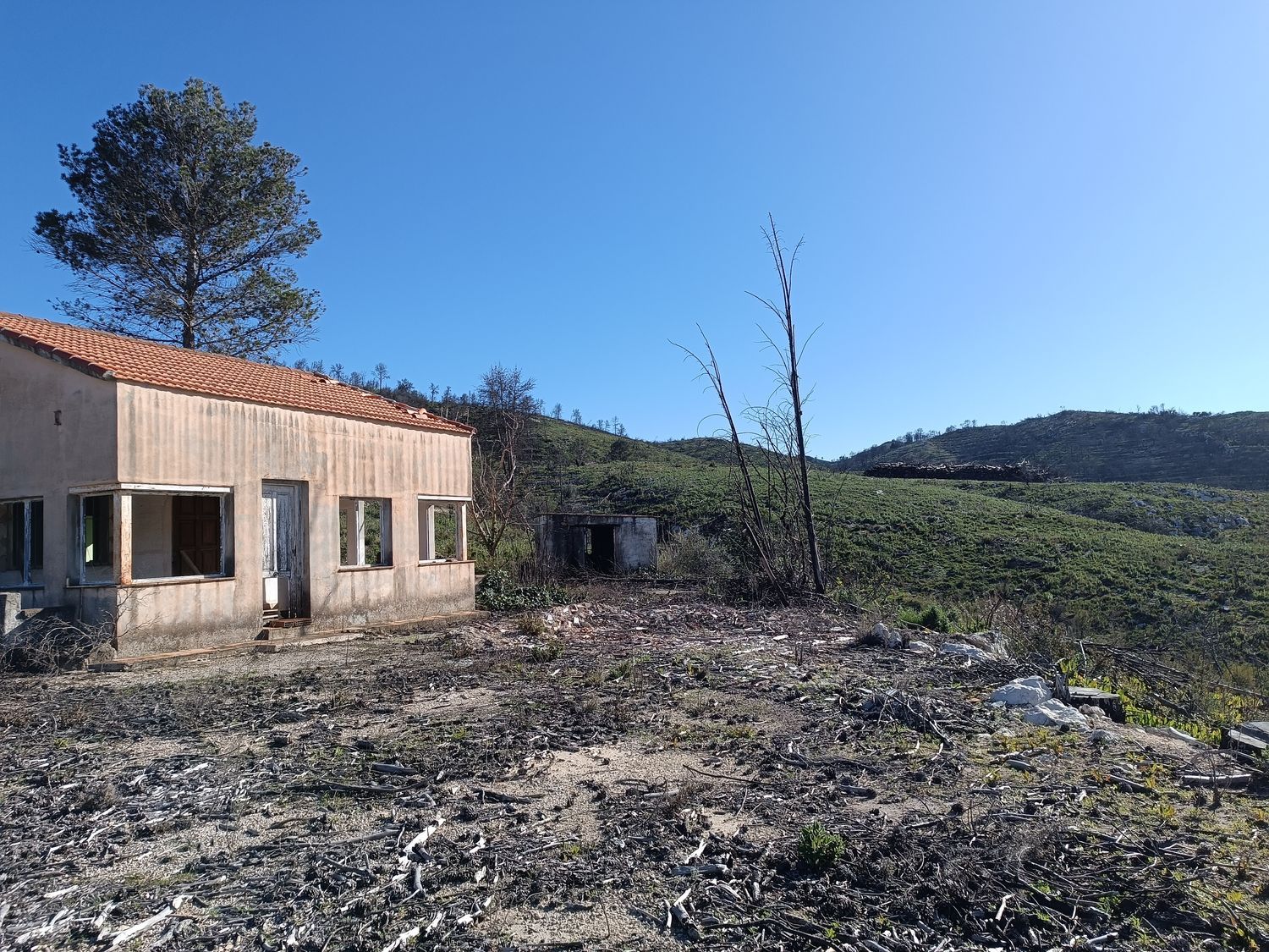 Finca rústica en Cv-712, 7 - Foto 4