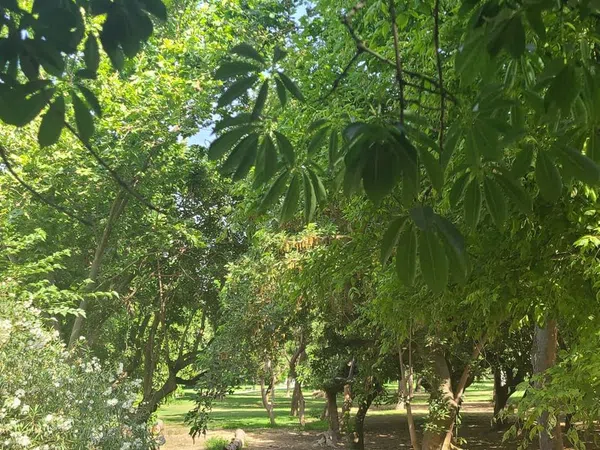 Piso en La Xerea - Foto 28
