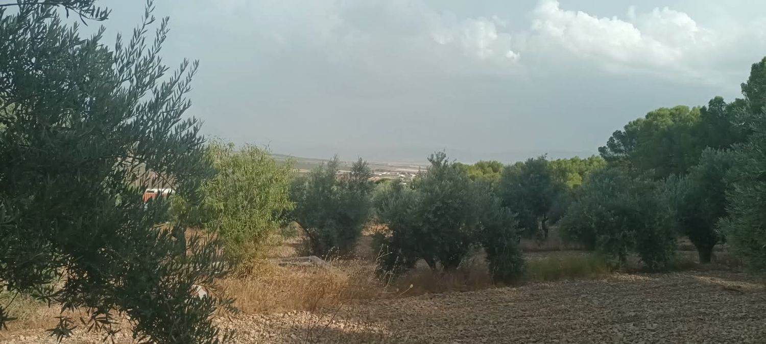 Cortijo en Cortijo en cortijo el cigaral s/n - Foto 18